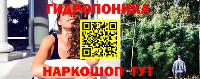 индика Донской