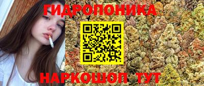 индика Донской