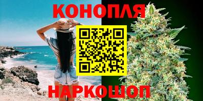 крисы Дубна